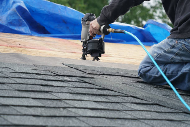 Best Chimney Flashing Repair  in Blooming Prairie, MN