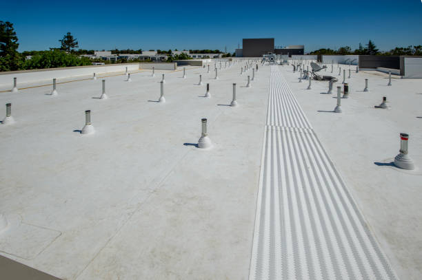 Best Slate Roofing  in Blooming Prairie, MN